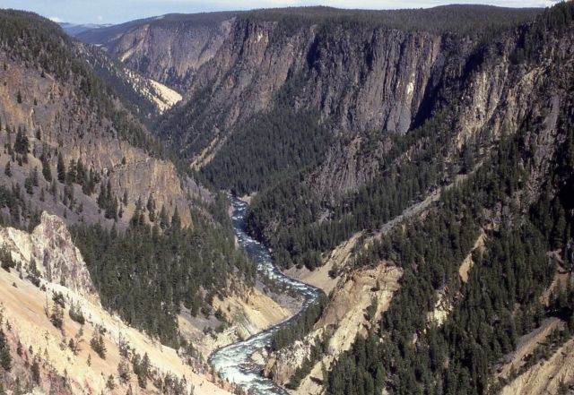 Grand Canyon of Yellowstone & the Yellowstone River Picture