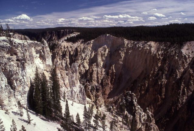 Walls of the Grand Canyon of Yellowstone Picture