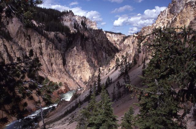Grand Canyon of Yellowstone as seen from Uncle Tom's trail Picture