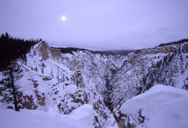 Grand Canyon of Yellowstone in the winter Picture