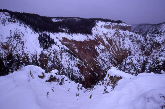 Grand Canyon of Yellowstone in the winter Picture