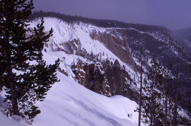Grand Canyon of Yellowstone in the winter Picture