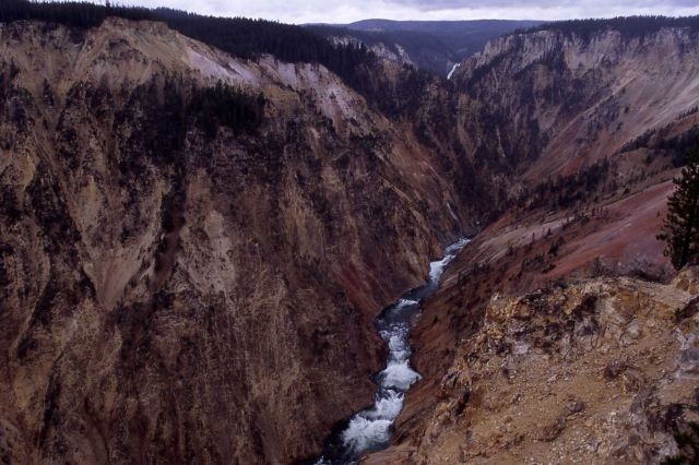 Grand Canyon of Yellowstone as seen from Inspiration Point Picture