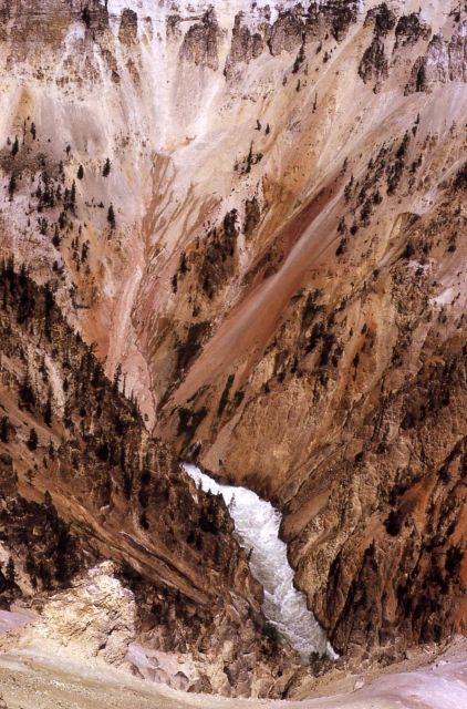 Grand Canyon of Yellowstone & the Yellowstone River Picture