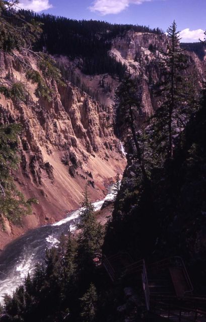Grand Canyon of Yellowstone & the Yellowstone River Picture