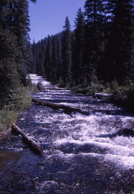 Bechler River Picture