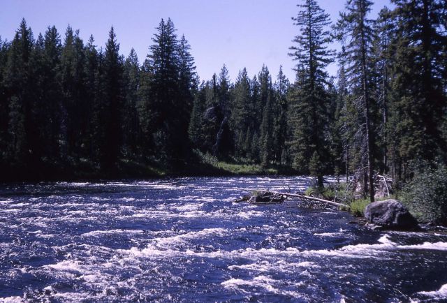 Bechler River Picture