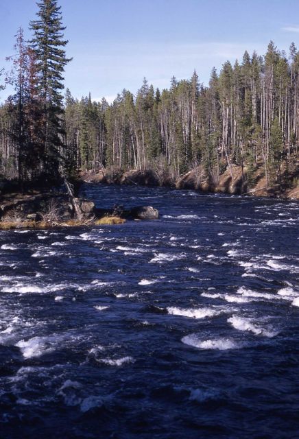 Junction of Bechler River & Falls River Picture