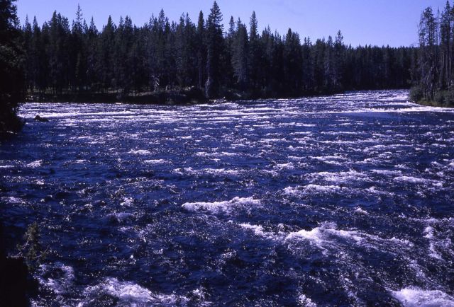 Junction of Bechler River & Falls River Picture