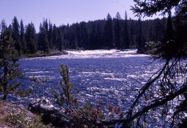 Falls River Picture