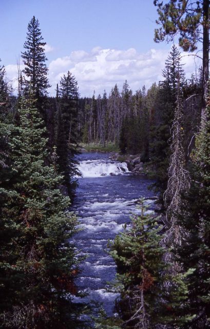 Bechler River Picture