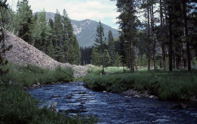 Specimen Creek Picture