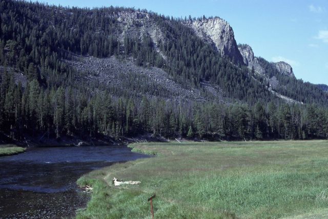 Madison River Picture