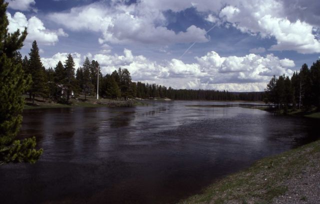 Gibbon River at Soldier Station with high water from spring run off Picture