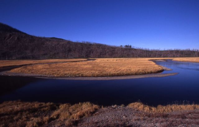 Madison River near Seven Mile bridge Picture