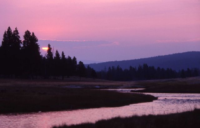 Nez Perce Creek at sunrise - sunrise enhanced by smoke from year 2000 summer wildfires Picture