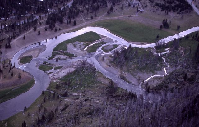 Aerial view of Madison Junction - Gibbon River at top right, Firehole River at bottom right Picture