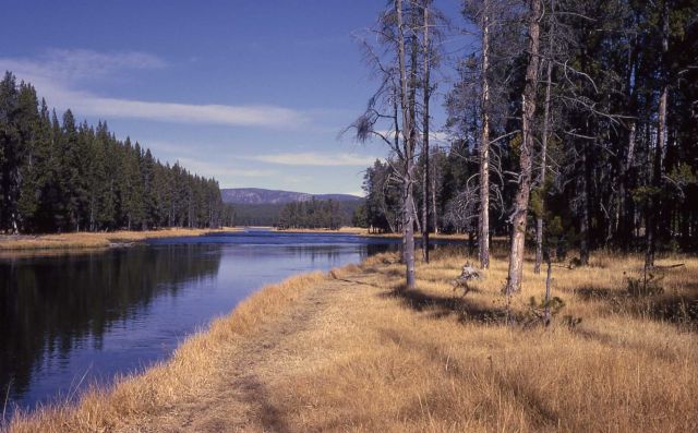 Firehole River Picture