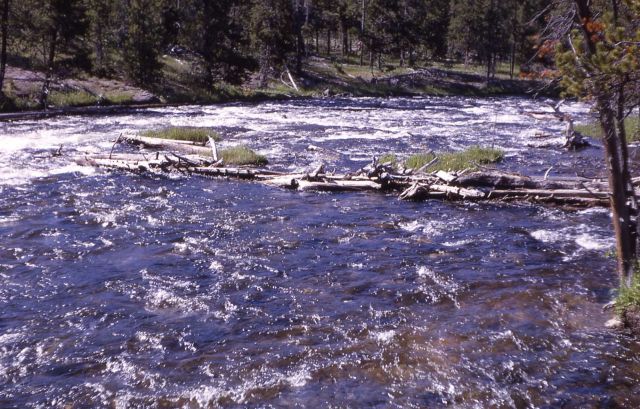 Firehole River below Morning Glory Pool Picture