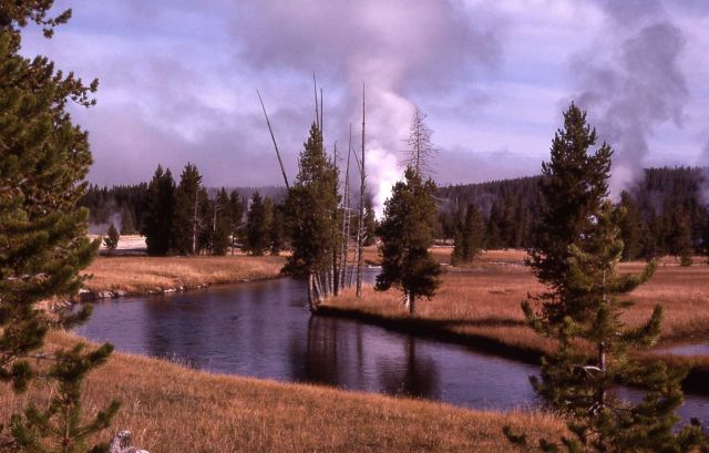 Firehole River Picture