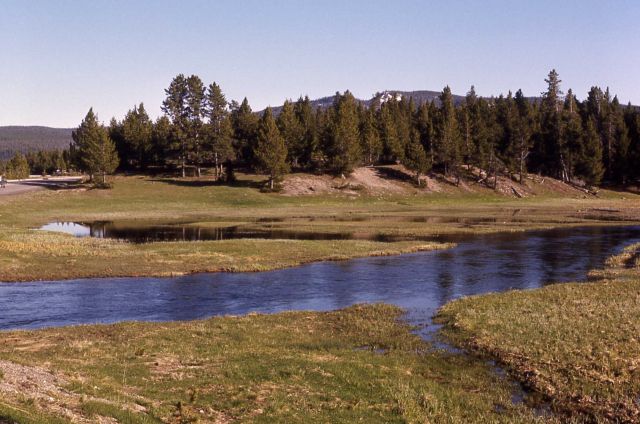 Gibbon River at Norris Picture