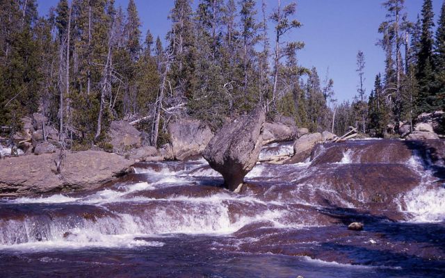 Duck rock in the Gibbon River Picture