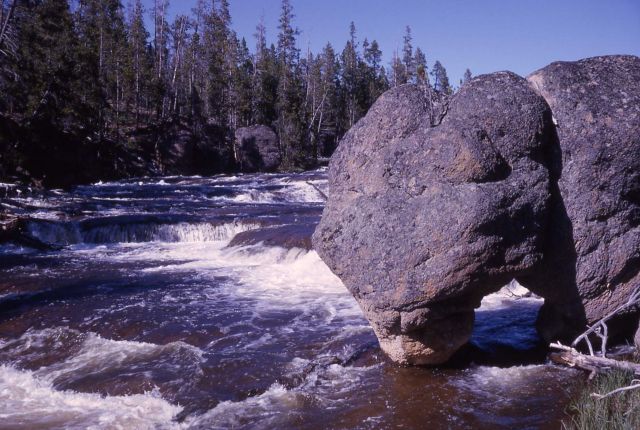 Duck rock in the Gibbon River Picture