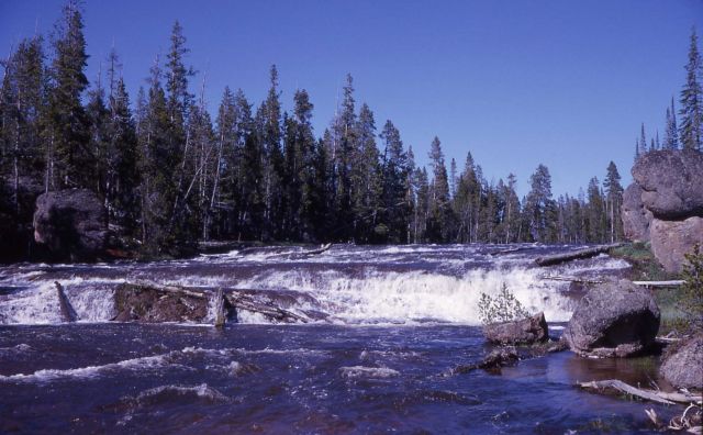 Gibbon River cascades Picture