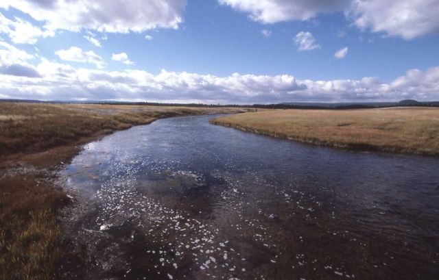 Nez Perce Creek Picture