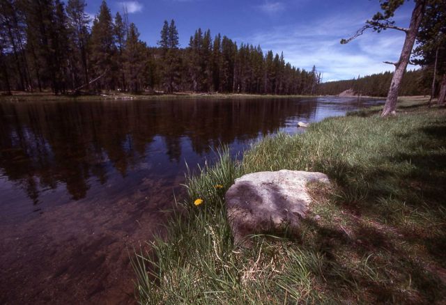 Firehole River Picture