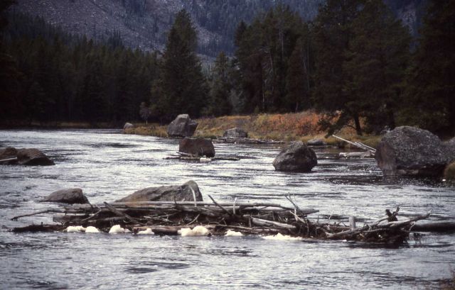 Madison River Picture