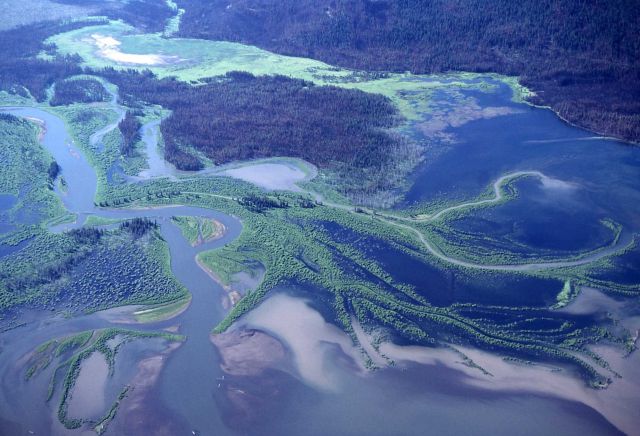Aerial view of Yellowstone River delta into Lake Picture