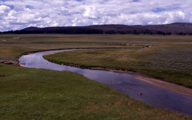 Pelican Creek Picture