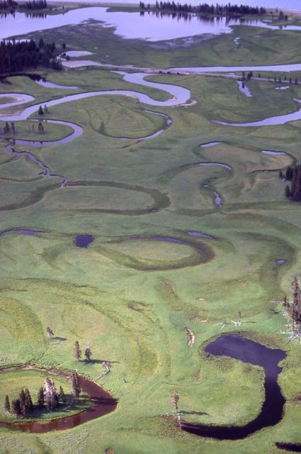 Pelican Creek & former stream beds Picture