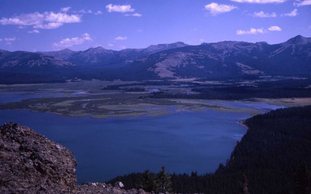 Delta of Upper Yellowstone River as seen from Two Ocean Plateau Picture