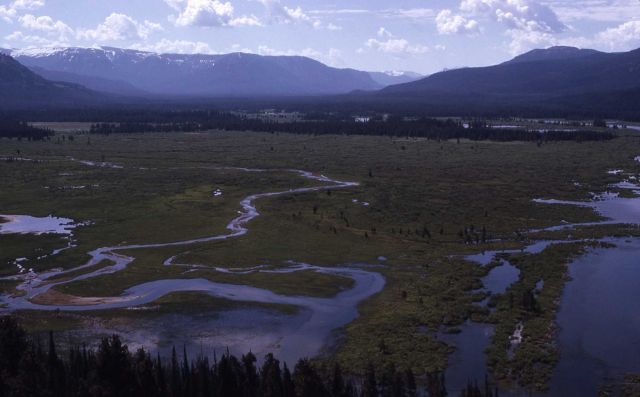 Thorofare - Yellowstone River entrance to Lake Picture