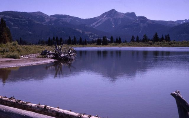 Colter Peak & Yellowstone River Picture