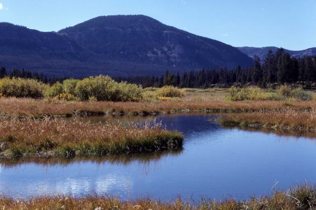 Thorofare Creek Picture
