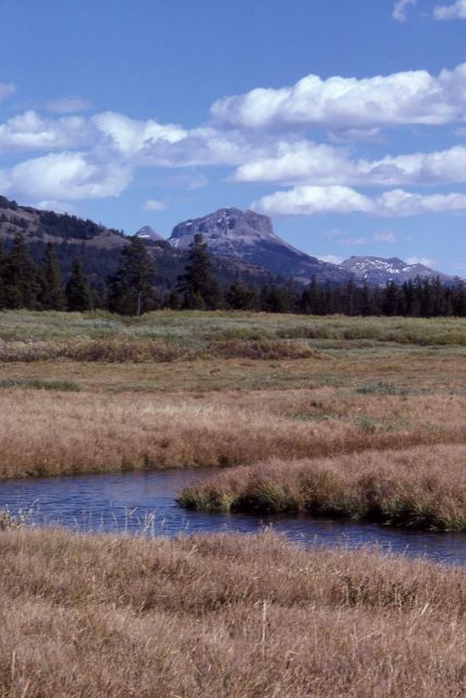 Looking down Thorofare Creek toward Thorofare Plateau Picture