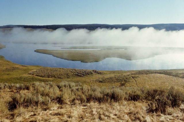 Yellowstone River in Hayden Valley Picture
