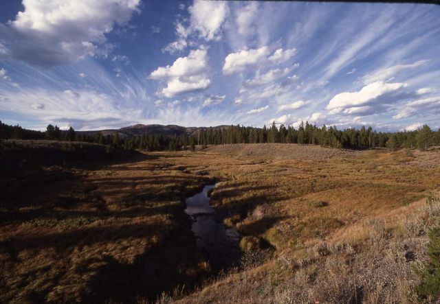 Cascade Creek Picture