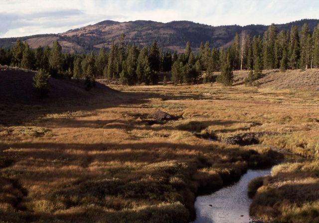 Cascade Creek Picture