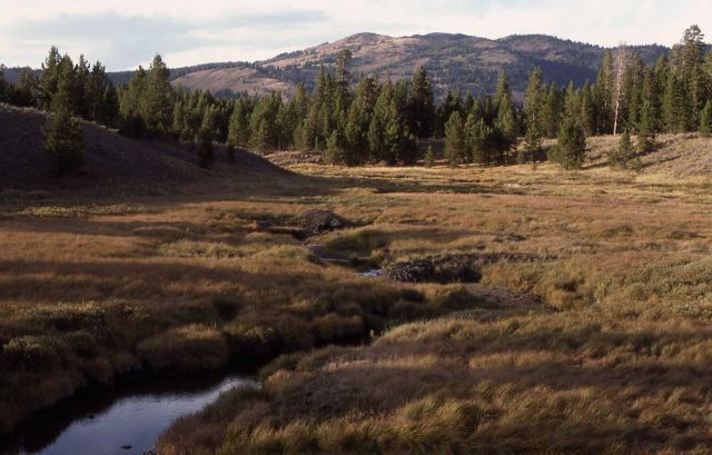 Cascade Creek Picture