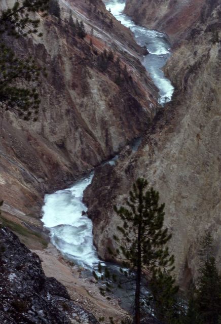 Yellowstone River in the Grand Canyon of Yellowstone Picture