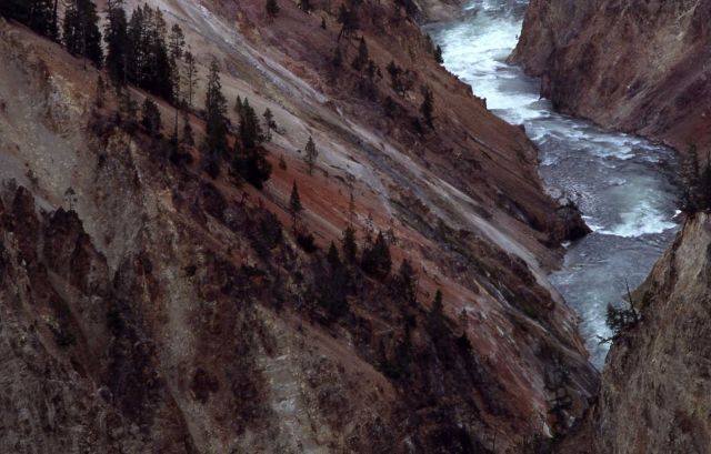 Yellowstone River in the Grand Canyon of Yellowstone Picture