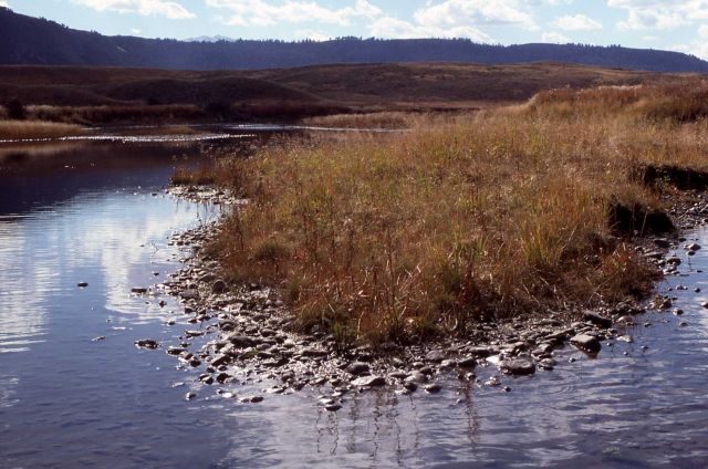 Slough Creek Picture