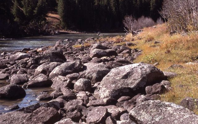 Lamar River Picture