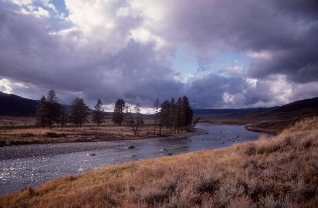 Lamar River Picture