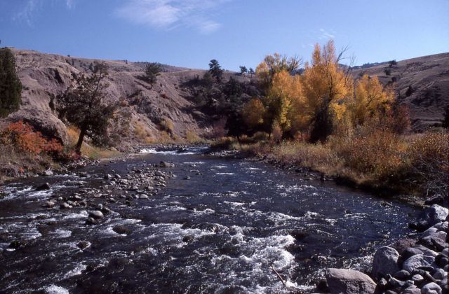 Gardner River Picture