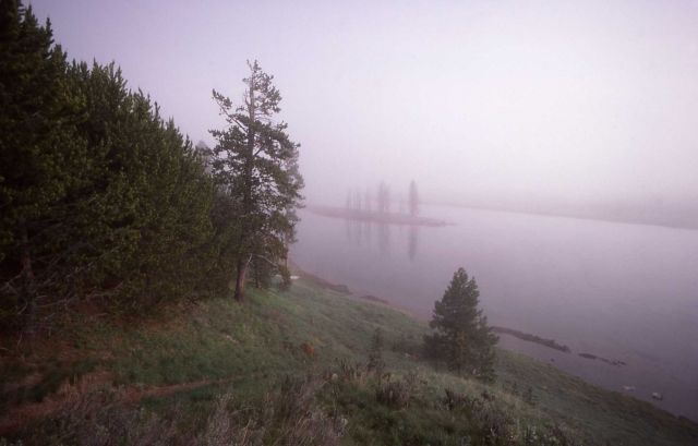 Yellowstone River in Hayden Valley Picture